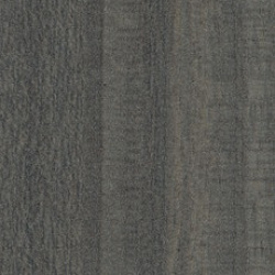 674 Eucalipto
