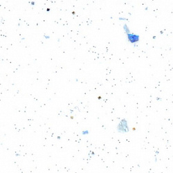  LM 0005-01
